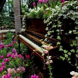 Meet your Posher, Autumn